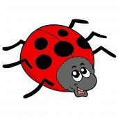 Ladybug Wall Stickers