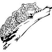 Leopard Wall Stickers
