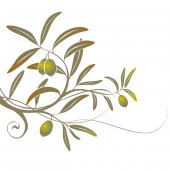 Olive Branch Wall Stickers