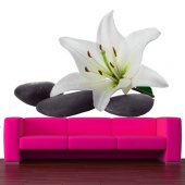 Orchid Pebble Wall Stickers