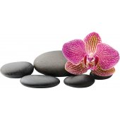 Orchid Pebbles Wall Stickers