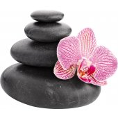 Orchid Pebbles Wall Stickers