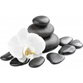 Orchid Pebbles Wall Stickers