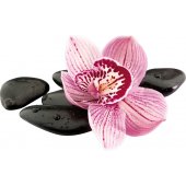 Orchid Pebbles Wall Stickers