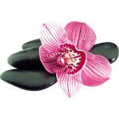 Orchid Pebbles Wall Stickers