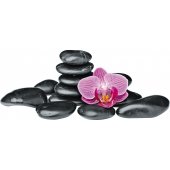 Orchid Pebbles Wall Stickers