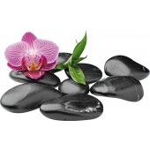 Orchid Pebbles Wall Stickers