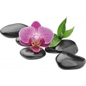 Orchid Pebbles Wall Stickers