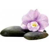 Orchid Pebbles Wall Stickers