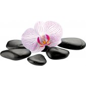 Orchid Pebbles Wall Stickers