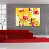 Orchid - Triptych Forex Print