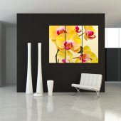 Orchid - Triptych Forex Print