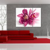 Orchid - Triptych Forex Print