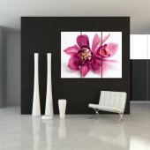 Orchid - Triptych Forex Print