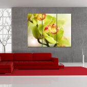 Orchid - Triptych Forex Print