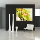 Orchid - Triptych Forex Print