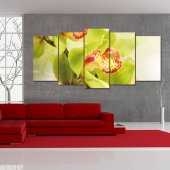 Orchid - Triptych Forex Print