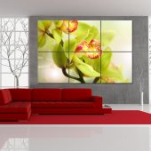 Orchid - Triptych Forex Print