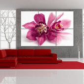 Orchid - Triptych Forex Print