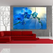 Orchid - Triptych Forex Print