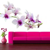 Orchid Wall Stickers