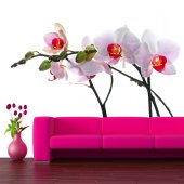 Orchid Wall Stickers