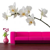 Orchid Wall Stickers