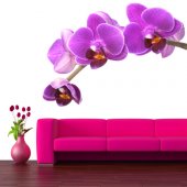 Orchid Wall Stickers