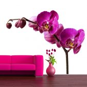 Orchid Wall Stickers