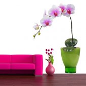 Orchid Wall Stickers