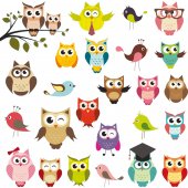 Owls and Birds Set Wall Stickers