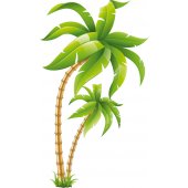 Palm Wall Stickers