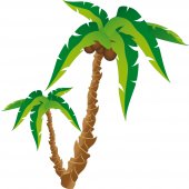 Palm Wall Stickers