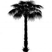 Palm Wall Stickers