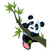 Panda Wall Stickers