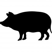 Pig -Chalkboard / Blackboard Wall Stickers