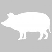 Pig -Whiteboard Wall Stickers