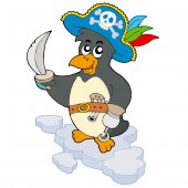 Pirate penguin Wall Stickers