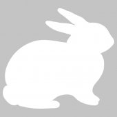 Rabbit - Whiteboard Wall Stickers