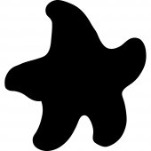 Starfish - Chalkboard / Blackboard Wall Stickers