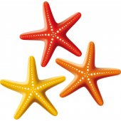 Starfish Wall Stickers