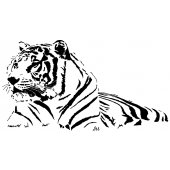 Tiger Wall Stickers