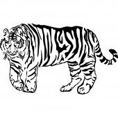 Tiger Wall Stickers