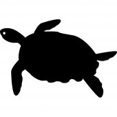 Tortoise - Chalkboard / Blackboard Wall Stickers