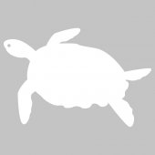 Tortoise - Whiteboard Wall Stickers
