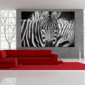 Zebra - Triptych Forex Print