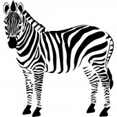 Zebra Wall Stickers