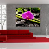 Zen - Triptych Forex Print