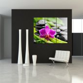 Zen - Triptych Forex Print